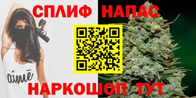 каннабис Будённовск