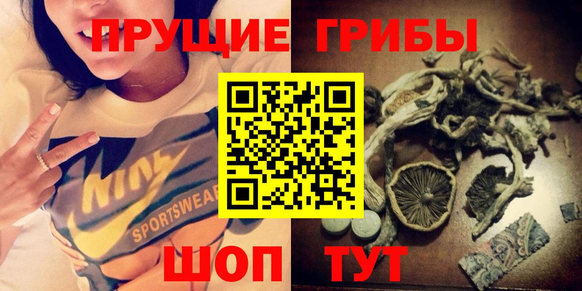 Краснокамск  где можно купить   Вход с VPN  Псилоцибиновые грибы Cubensis 